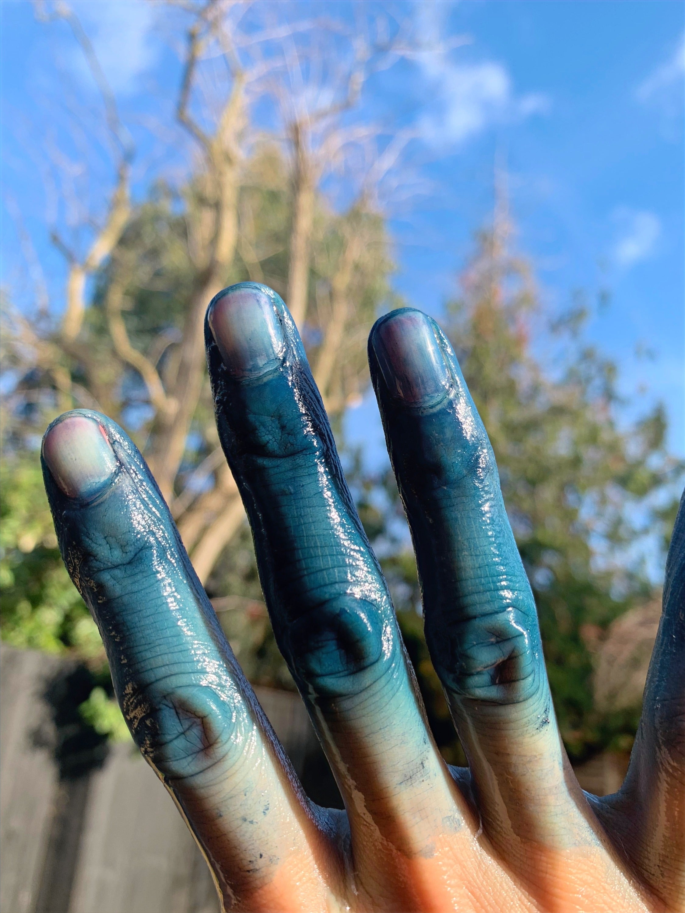 Indigo Dye